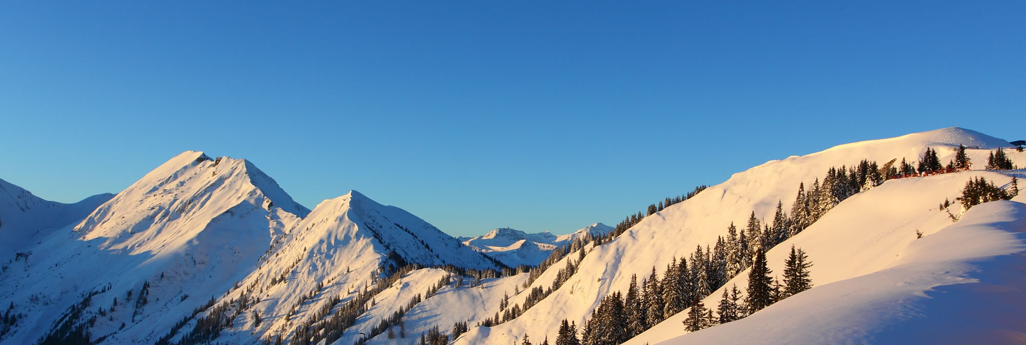 Skikurse Skischule Lackner Großarl